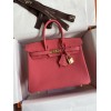 Birkin25-001