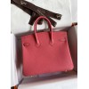 Birkin25-001