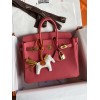 Birkin25-001