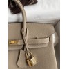 Birkin25-004