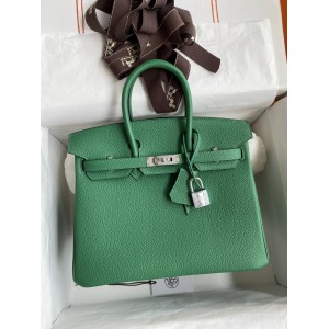 Birkin25-006