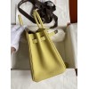 Birkin25-007