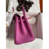 Birkin25-009