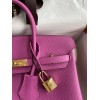 Birkin25-009