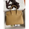 Birkin25-011