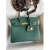 Birkin25-015