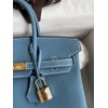 Birkin25-016