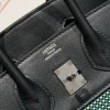Birkin25-028