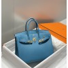 Birkin25-033