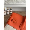 Birkin25-041