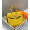 Birkin25-053