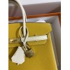 Birkin25-055