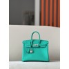 Birkin25-060