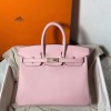 Birkin25-081