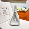Birkin25-082