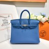 Birkin25-084