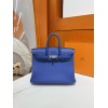 Birkin25-091