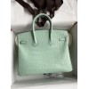 Birkin25-098