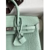 Birkin25-098