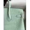 Birkin25-098
