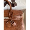 Birkin25-099