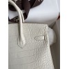Birkin25-101