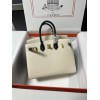 Birkin25-104