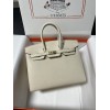 Birkin25-108