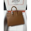 Birkin25-110