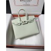 Birkin25-113
