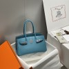 Birkin29-001