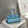 Birkin29-001
