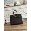 Birkin30-003