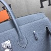 Birkin35-003
