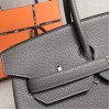 Birkin35-007
