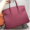 Birkin35-008