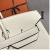 Birkin35-009