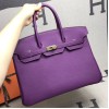 Birkin35-010