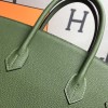 Birkin35-011