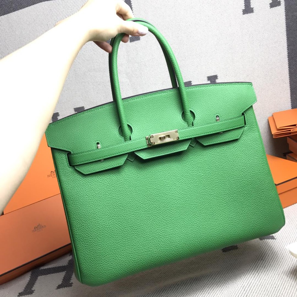 Birkin35-012