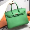 Birkin35-012