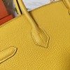 Birkin35-030