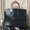 Birkin35-037