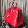 Birkin35-038