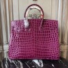 Birkin35-041