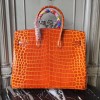 Birkin35-046