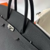 Birkin40-006