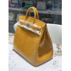 Birkin40-013