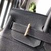 Birkin40-024