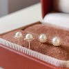 真珠イヤリング 14K 金-224 真珠イヤリング 14K 金-224